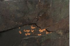 Foto von Bronzesitula (NHMW-PRAE-001389)